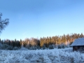 Peapreemia. Autor: Tuule Müürsepp. Võrumaa, Antsla vald, Ähijärve küla. Žürii kommentaar: lummav, mitmekihiline, selle pildi sees tahaks olla.