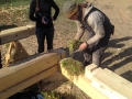 International log building workshop