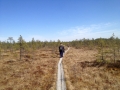 Visit to wetland