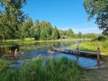August 2026: Tööpäev lõppeb suplusega