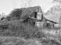 Autor: Henry Küla. Valgamaa, Taheva vald, Taheva küla.
