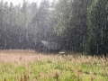 Autor: Mari Prikenfeld. Oandu Looduskeskuses.